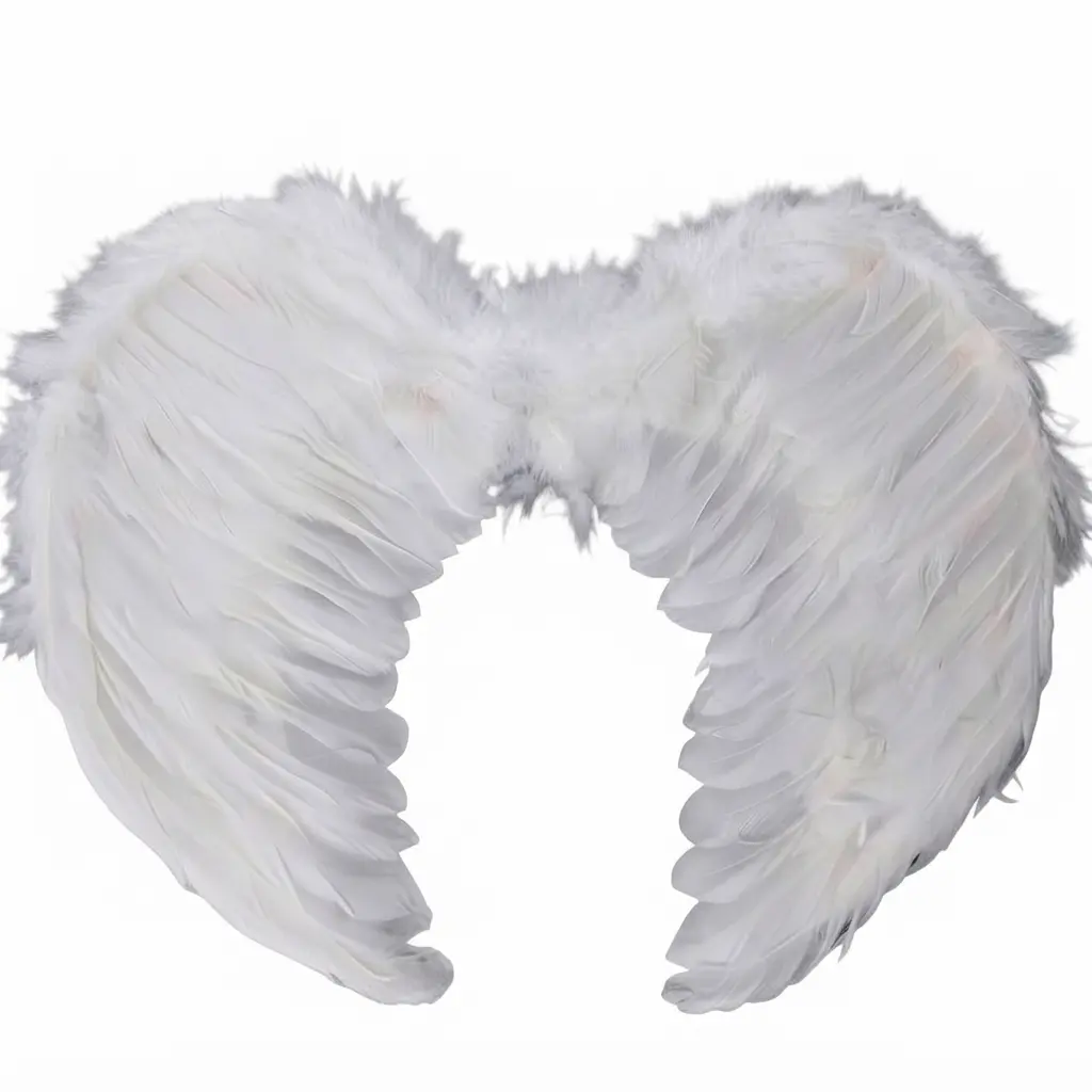 Feather fairy wings Feather Fairy wings - Image 1
