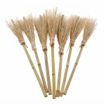 Witch Brooms