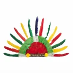 Feather Head Band