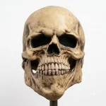 Skeleton Rubber Mask
