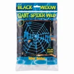 spider Web